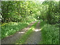 Farm track near Partridge Close