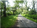 Minor road near Partridge Close