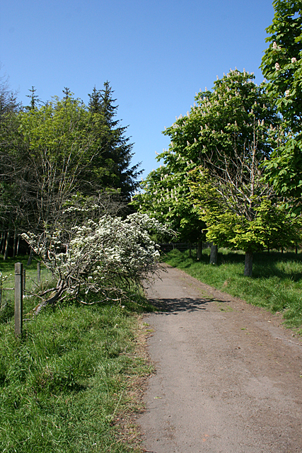 Path at Dreghorn
