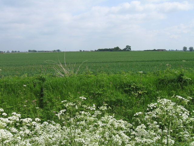 Dyke and field