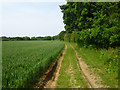 Field edge track and public footpath