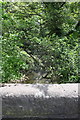 Burton Beck viewed over Constable Burton Bridge