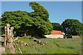 SX7476 : Tree and barn, Emsworthy by Derek Harper