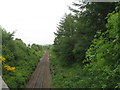 Railway at Fort William