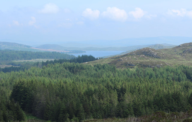 Carrick Forest © Billy Mccrorie :: Geograph Britain And Ireland