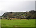 Houses below Brent Knoll