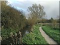 SP3780 : The Sowe Valley footpath and the River Sowe, Walsgrave, Coventry by Robin Stott