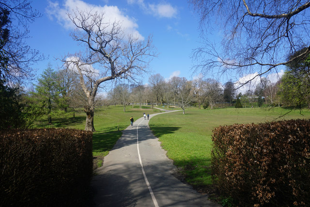 Path in Singleton Park