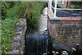 Small stream off Fleet Street, Beaminster