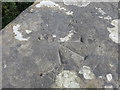 Rivet bench mark on Pont Terrig