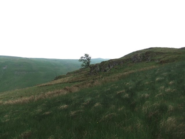 Mart Crag-lonely tree
