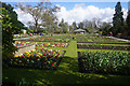 Educational Garden, Singleton Park