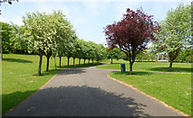 NT0987 : Dunfermline Public Park by Thomas Nugent