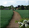 Bridleway towards Carlton-in-Lindrick