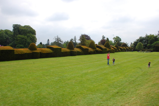 Topiary at Chirk Castle