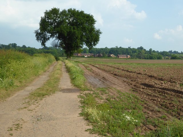 Bridleway to Knight's Hill