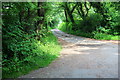 Lane to Pentref-y-groes Farm