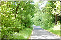 SH9921 : Road around Lake Vyrnwy by Trevor Harris