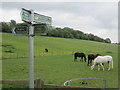 Public footpath sign ? Berkhamsted 2/3 (of a mile)