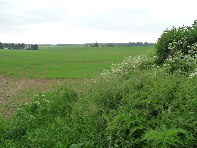 Farmland east of Morns Field Cottages, near Crawley
