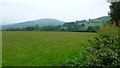 Grassland at Forest Coal Pit, 1