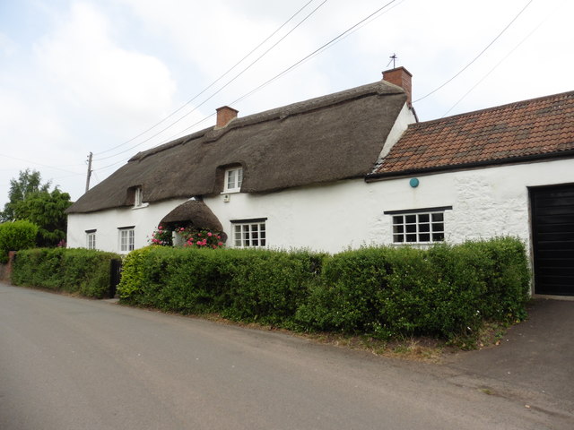 Thatched cottage, Middlezoy