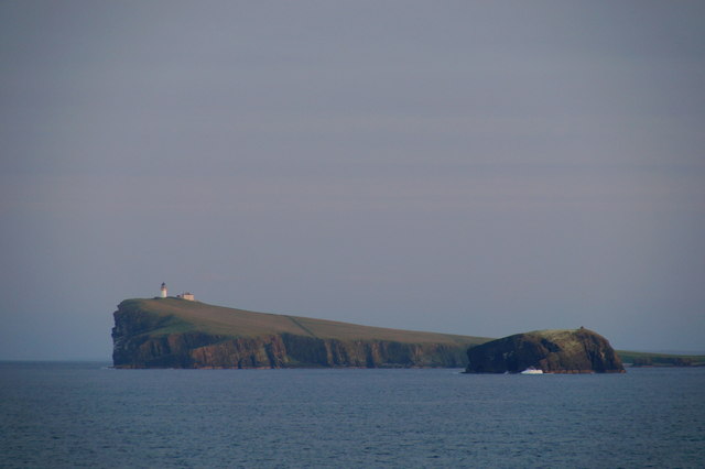 Horse of Copinsay and Copinsay from the north-east