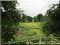 Allotments and fields, Winthorpe