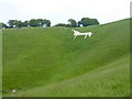 SU0469 : The Cherhill White Horse by Oliver Dixon