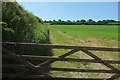 Fields near Venn