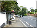 Bus stop on Dyke Road Avenue