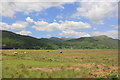 SH6818 : View from the Mawddach Trail by Jeff Buck