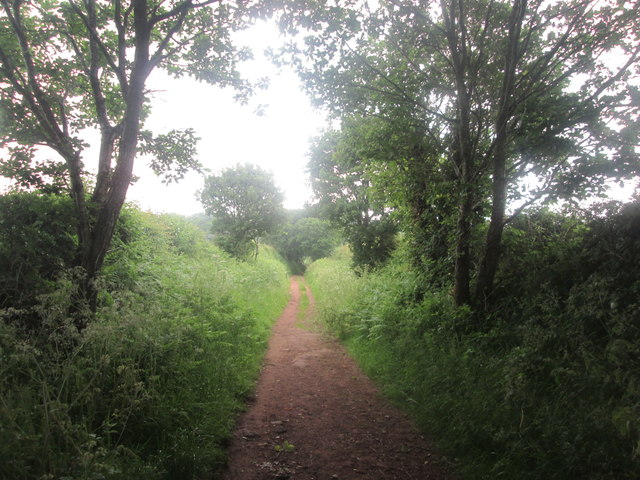 Bridleway towards Windle Hill