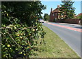 House along the A418 in Rowsham