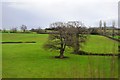 Farmland, Yanley