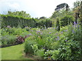 The gardens at Poppy Cottage Garden