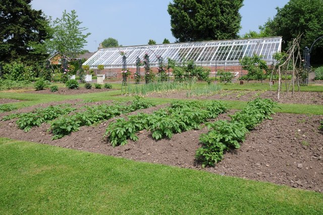 Kitchen garden, Wightwick Manor © Philip Halling :: Geograph Britain ...