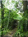 Stile on the footpath at Little Treviles