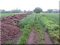 Public footpath across a field near Thirsk