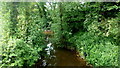 River Trothy at Pantycolyn Bridge