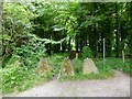 Dragons teeth in Coulston Hollow