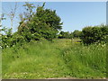 Footpath to Willisham