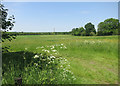 Fields near Sparsholt