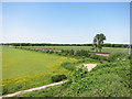 Fields and Railway at Circourt Bridge