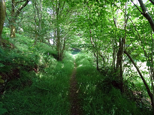 Path through Coed-y-garth © John Lucas cc-by-sa/2.0 :: Geograph Britain ...