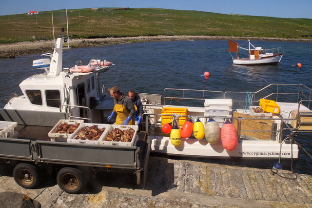 Unloading crabs at Toft