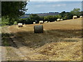 Farmland north of Cublington