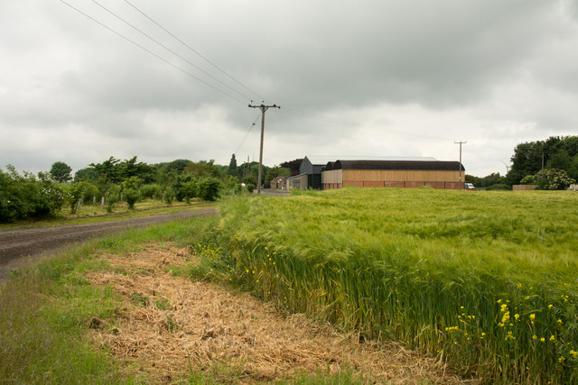 Barley field at Boltgate Farm