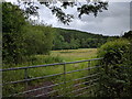 Fields and woods near Venny Tedburn