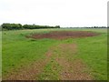 Field near Alkerton